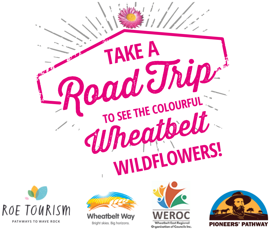 Wheatbelt Tourism Poster